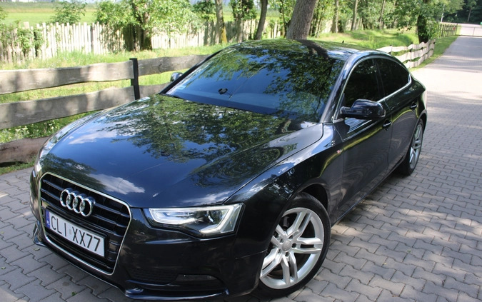 Audi A5 cena 65900 przebieg: 189342, rok produkcji 2013 z Lipno małe 254